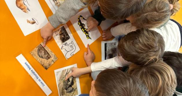 Η Ροζ τάξη μαθαίνει για τις αρκούδες Η Ροζ τάξη μαθαίνει για τις αρκούδες