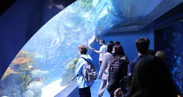 Επίσκεψη στο ενυδρείο Oceans Επίσκεψη στο ενυδρείο Oceans