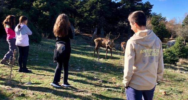 Στον Εθνικό Δρυμό Πάρνηθας Στον Εθνικό Δρυμό Πάρνηθας