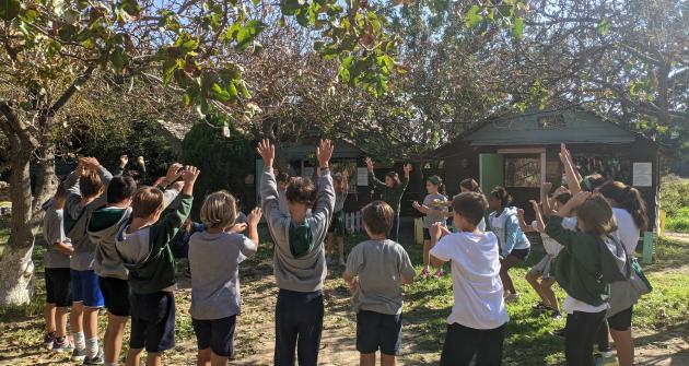 Τα παλιά επαγγέλματα ζωντανεύουν Τα παλιά επαγγέλματα ζωντανεύουν