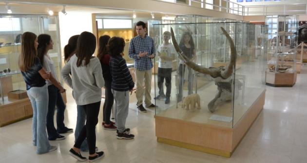 Επίσκεψη στο Μουσείο Παλαιοντολογίας Επίσκεψη στο Μουσείο Παλαιοντολογίας