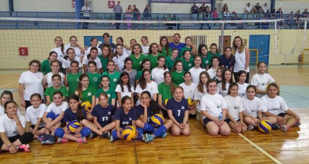 volley_academy volley_academy