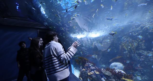 Επίσκεψη στο ενυδρείο Xplore Oceans Επίσκεψη στο ενυδρείο Xplore Oceans