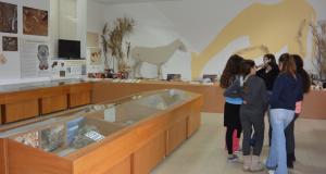 pikermi_palaiontology_museum