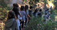 Οι περιπέτειες στο δάσος ξεκίνησαν!