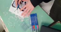 Butterfly Project