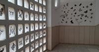 Butterfly Project