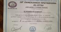 jiu_jitsu
